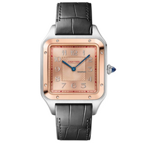 Load image into Gallery viewer, Cartier Santos Dumont XL 500pc limited
